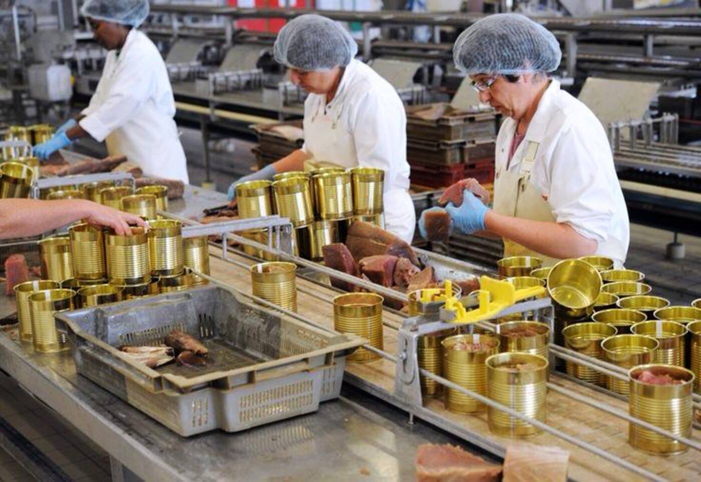 Equipe em linha de produção de alimentos